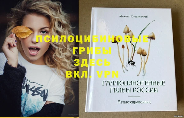 соль курить ск Алексеевка