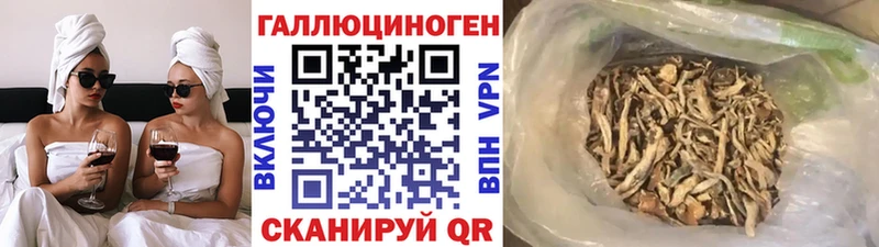 Галлюциногенные грибы Psilocybe  сколько стоит  Архангельск 